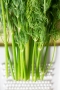 chiossone_20150322_3C3A5742.jpg